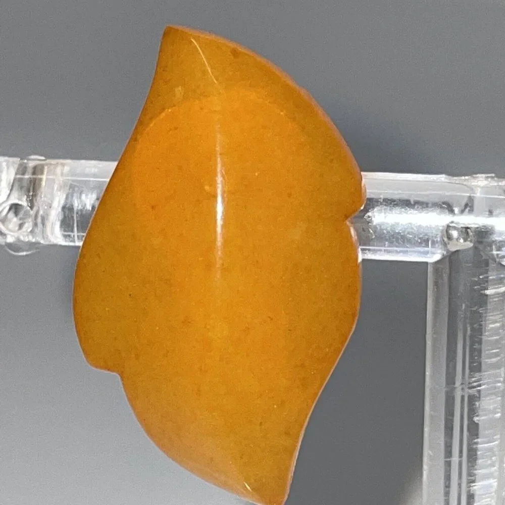 Vintage Kaliningrad USSR Natural Baltic Amber Clip On Earrings Leaf Shape Dangle